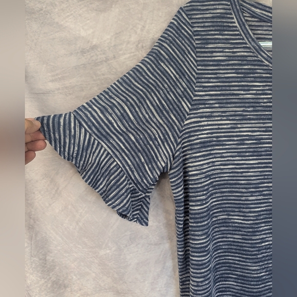 Terra & Sky Size 14W Pomplum Blue Striped Blouse - Picture 3 of 11